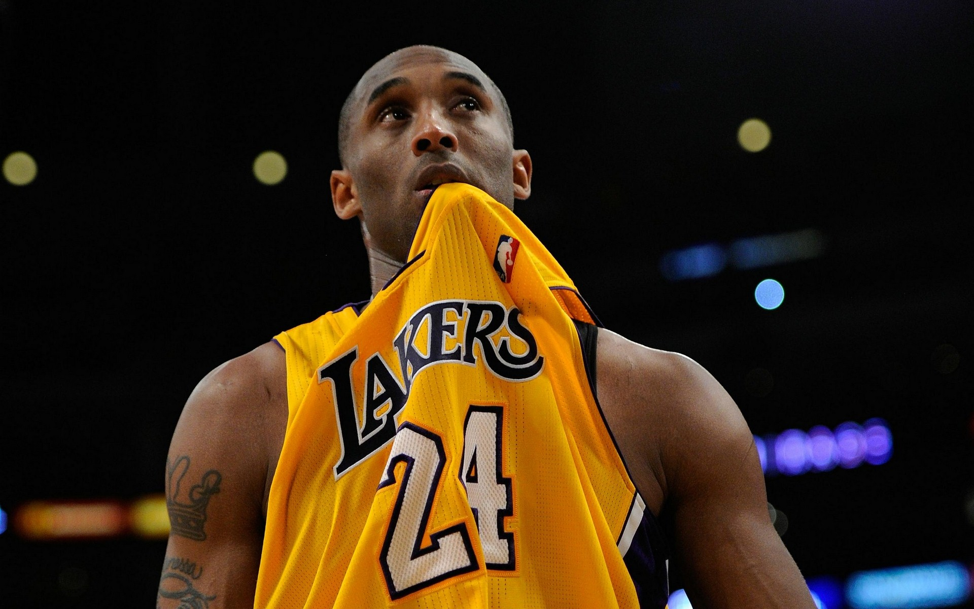 添一枚铜牌 添一枚铜牌